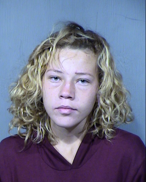 Danni Leeann Holt Mugshot / Maricopa County Arrests / Maricopa County Arizona