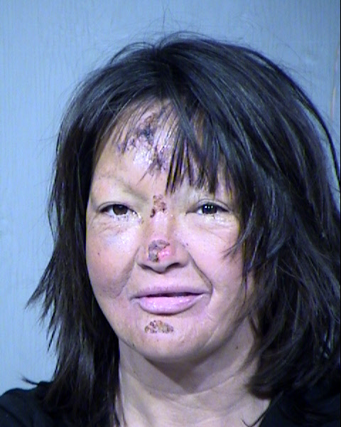 Lisa M Islava Mugshot / Maricopa County Arrests / Maricopa County Arizona