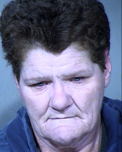 Helen Ann Mcgoldrick Mugshot / Maricopa County Arrests / Maricopa County Arizona