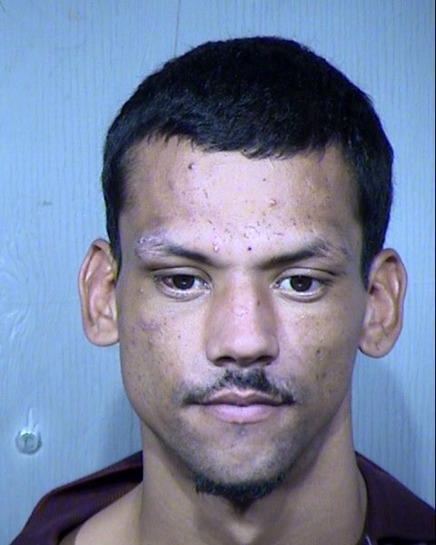 Saul Vega Renteria Mugshot / Maricopa County Arrests / Maricopa County Arizona