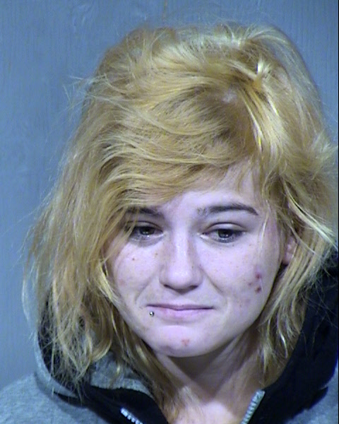 Theresa Ann Grieger Mugshot / Maricopa County Arrests / Maricopa County Arizona