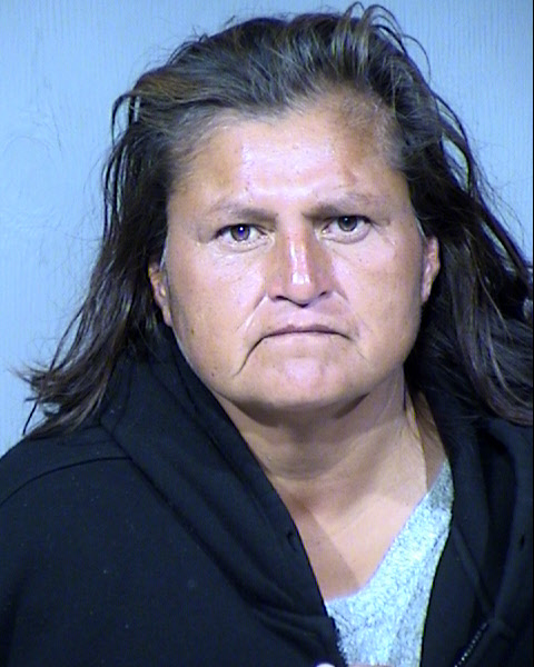 Elvina Jean Nelson Mugshot / Maricopa County Arrests / Maricopa County Arizona