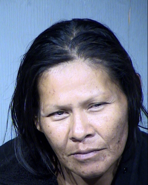 Sandra Brown Mugshot / Maricopa County Arrests / Maricopa County Arizona