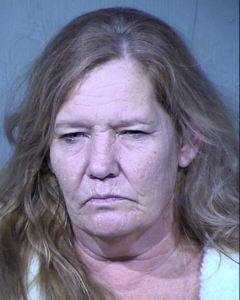 Karen Joy Hallock Mugshot / Maricopa County Arrests / Maricopa County Arizona