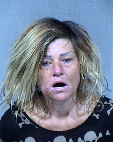 Melissa Lee Mason Mugshot / Maricopa County Arrests / Maricopa County Arizona