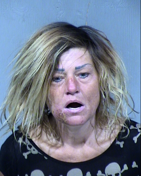Melissa Lee Mason Mugshot / Maricopa County Arrests / Maricopa County Arizona Arrests Melissa Lee Mason Mugshot / Maricopa County Arrests / Maricopa County Arizona