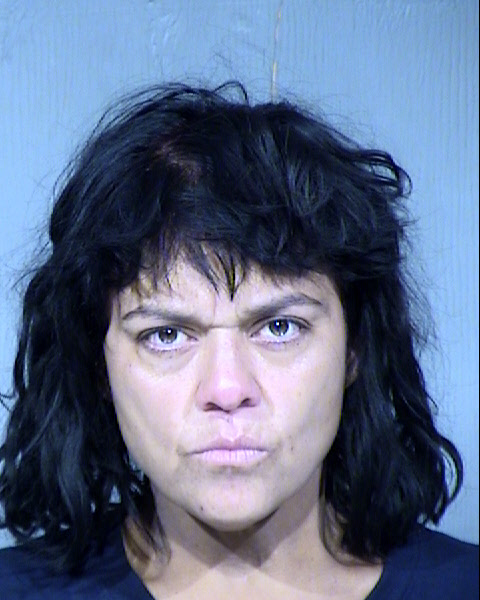 Yadira E Borbon Acuna Mugshot / Maricopa County Arrests / Maricopa County Arizona