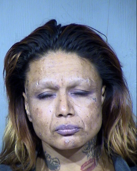 Veronica Nellie Gonzalez Mugshot / Maricopa County Arrests / Maricopa County Arizona