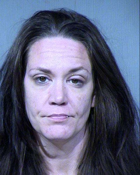 Pamela Ashley Anderson Mugshot / Maricopa County Arrests / Maricopa County Arizona