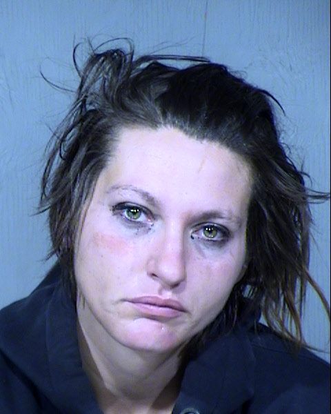 Christina Emily Richter Mugshot / Maricopa County Arrests / Maricopa County Arizona