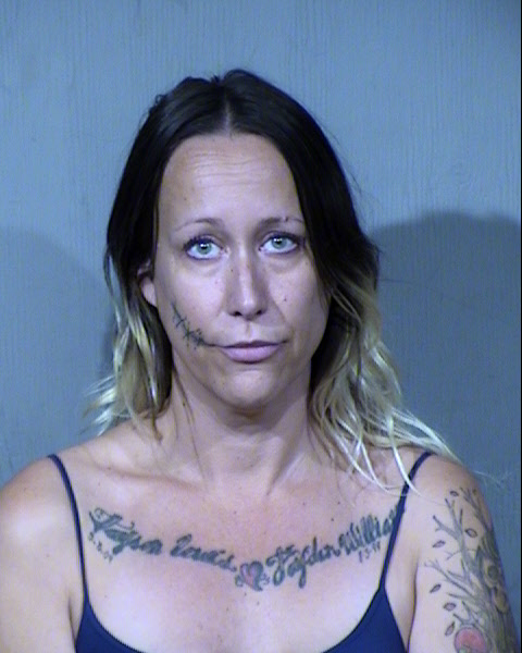 Christi Ann Burns Mugshot / Maricopa County Arrests / Maricopa County Arizona