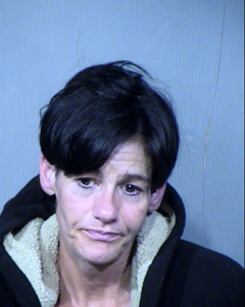 Michelle Marie Stinebuck Mugshot / Maricopa County Arrests / Maricopa County Arizona