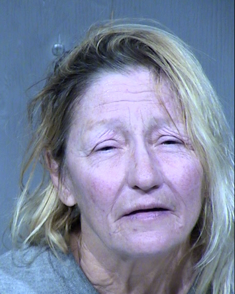Tammy Lee Hoshaw Mugshot / Maricopa County Arrests / Maricopa County Arizona