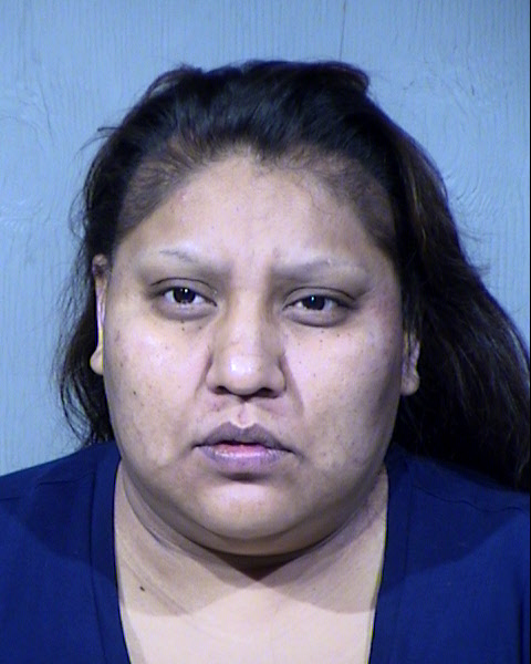 Johanna Norris Mugshot / Maricopa County Arrests / Maricopa County Arizona