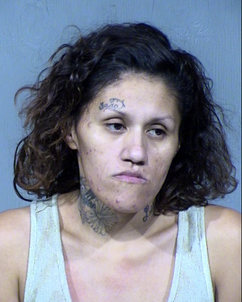 Elisa Lugo Mugshot / Maricopa County Arrests / Maricopa County Arizona