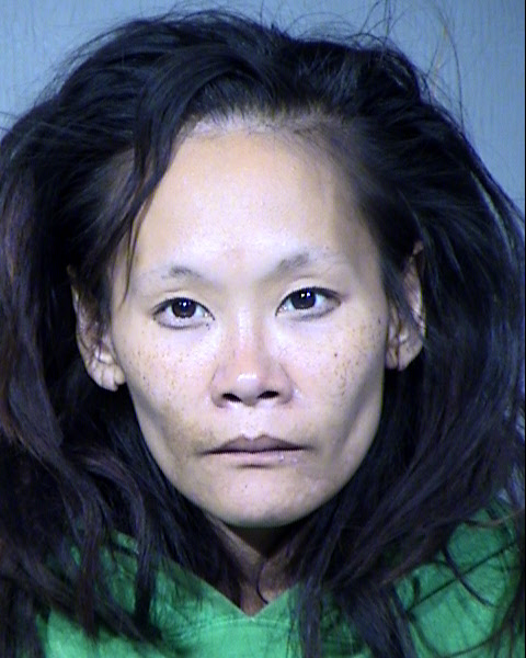 Rebecca Ann Mcginnis Mugshot / Maricopa County Arrests / Maricopa County Arizona
