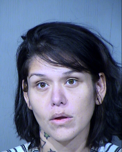 Rachel Marie Annett Fenzel Mugshot / Maricopa County Arrests / Maricopa County Arizona