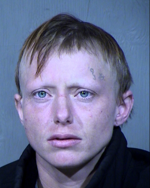 Amber N Daniel Mugshot / Maricopa County Arrests / Maricopa County Arizona