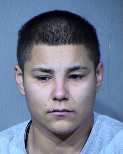 Lydia R Perea Mugshot / Maricopa County Arrests / Maricopa County Arizona