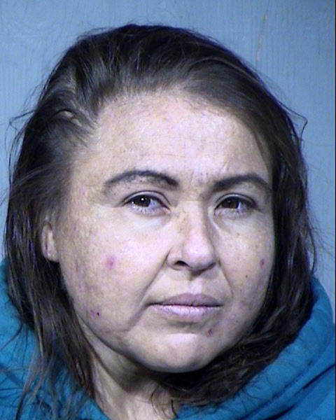 Danielle Marie Nunes Mugshot / Maricopa County Arrests / Maricopa County Arizona