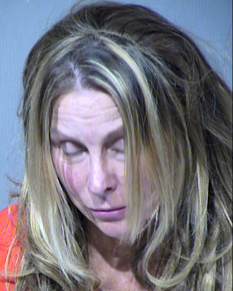 Daria Ann Biernat Poehlman Mugshot / Maricopa County Arrests / Maricopa County Arizona
