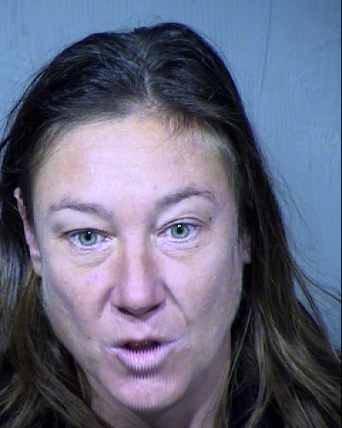 Karen Elizabeth Manz Mugshot / Maricopa County Arrests / Maricopa County Arizona