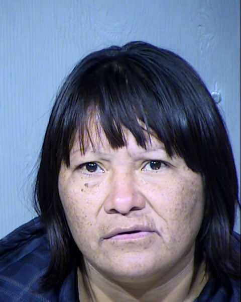 Shirlena Mae George Mugshot / Maricopa County Arrests / Maricopa County Arizona