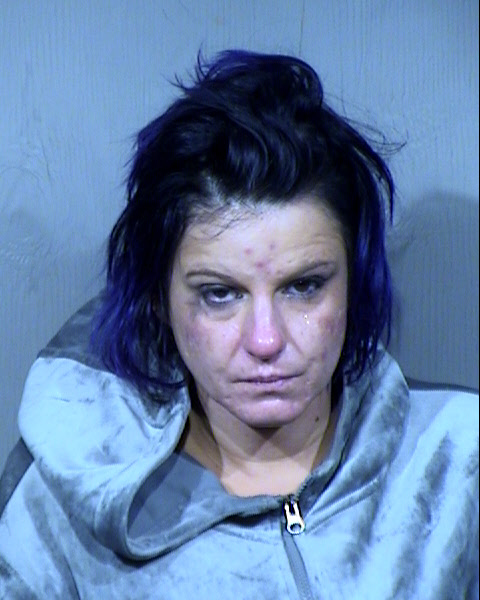 Sandra Elizabeth Johnson Mugshot / Maricopa County Arrests / Maricopa County Arizona