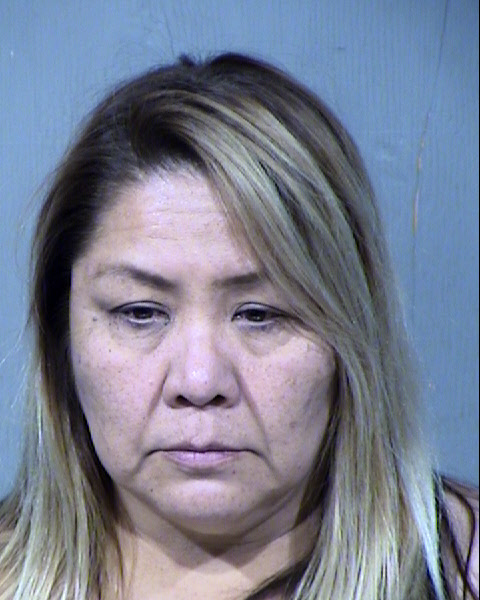 Pamela Johnson Mugshot / Maricopa County Arrests / Maricopa County Arizona