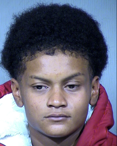 Stevie Gina Rebekah Johnson Mugshot / Maricopa County Arrests / Maricopa County Arizona