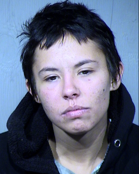 Mika Queanna Halbert Mugshot / Maricopa County Arrests / Maricopa County Arizona