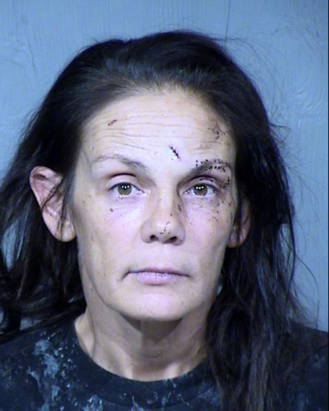 Christi Eileen Ihde Mugshot / Maricopa County Arrests / Maricopa County Arizona
