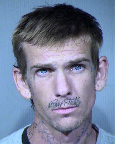 Shane Allen Harbison Mugshot / Maricopa County Arrests / Maricopa County Arizona