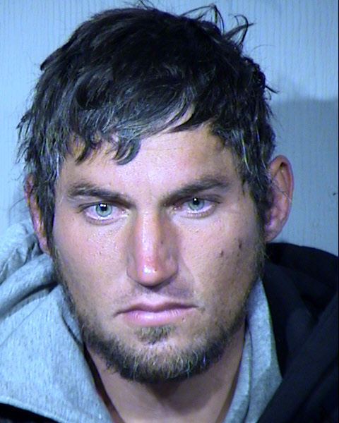 Francis Mitchell Skilnik Mugshot / Maricopa County Arrests / Maricopa County Arizona