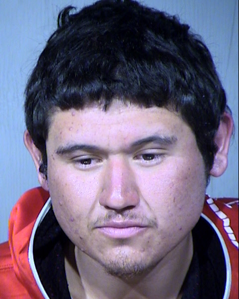 Jesus Albertoelena Hernandez Mugshot / Maricopa County Arrests / Maricopa County Arizona