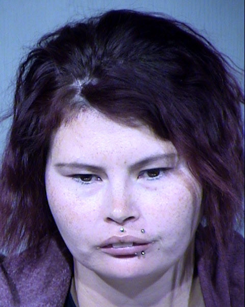 Lisa Marie Roush Clements Mugshot / Maricopa County Arrests / Maricopa County Arizona