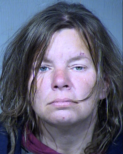 Jennifer Ann Banister Mugshot / Maricopa County Arrests / Maricopa County Arizona