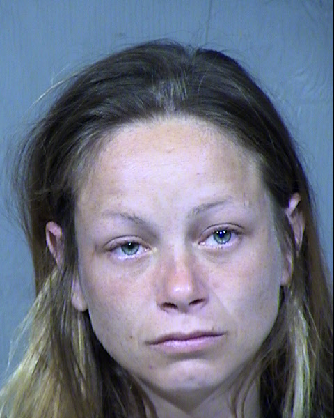 Brittney L Hill Mugshot / Maricopa County Arrests / Maricopa County Arizona