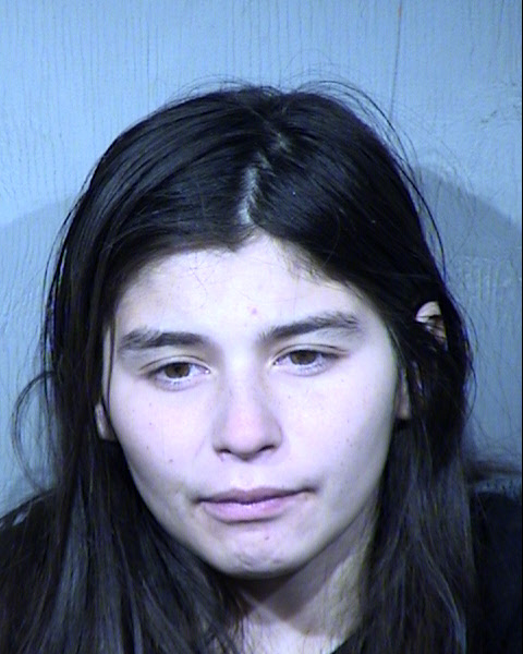 Michelle Gloria Cox Mugshot / Maricopa County Arrests / Maricopa County Arizona