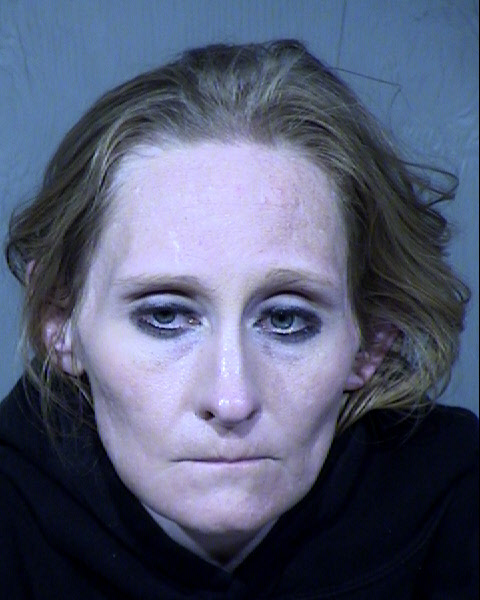 Nicole Christine Ellingson Mugshot / Maricopa County Arrests / Maricopa County Arizona
