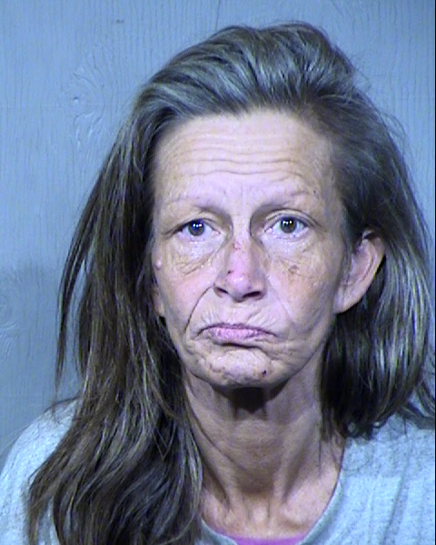 Tina Louise Mcgivney Mugshot / Maricopa County Arrests / Maricopa County Arizona