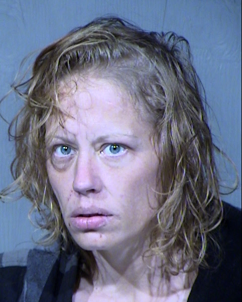 Tracy Lee Bowman Mugshot / Maricopa County Arrests / Maricopa County Arizona