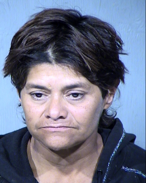 Teresa E Stuppi Mugshot / Maricopa County Arrests / Maricopa County Arizona