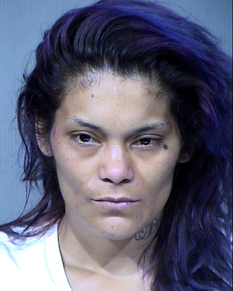 Michelle Ann Barraza Mugshot / Maricopa County Arrests / Maricopa County Arizona