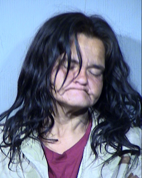 Winneta Marie Lamken Mugshot / Maricopa County Arrests / Maricopa County Arizona