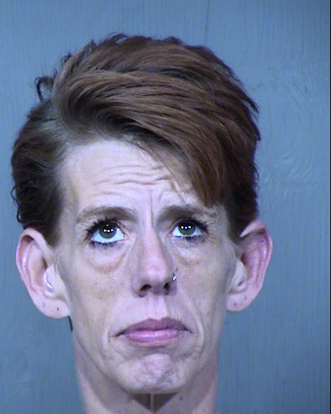 Renee Lee Fuqua Mugshot / Maricopa County Arrests / Maricopa County Arizona