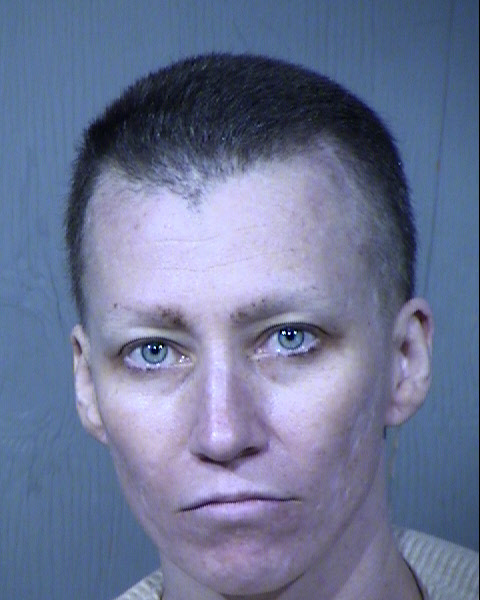 Sarah A Pettebone Mugshot / Maricopa County Arrests / Maricopa County Arizona