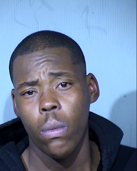 Timothy Charles Fields Mugshot / Maricopa County Arrests / Maricopa County Arizona