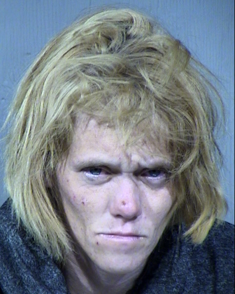 Ashley Nicole Fields Mugshot / Maricopa County Arrests / Maricopa County Arizona