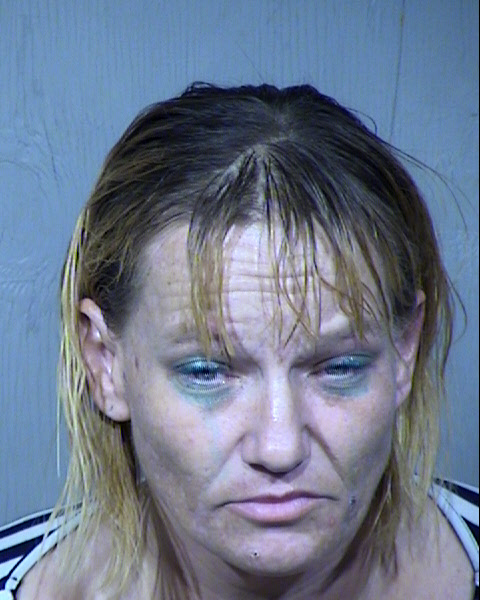 Dana Michelle Forister Mugshot / Maricopa County Arrests / Maricopa County Arizona
